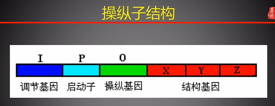 image-20250323122908656