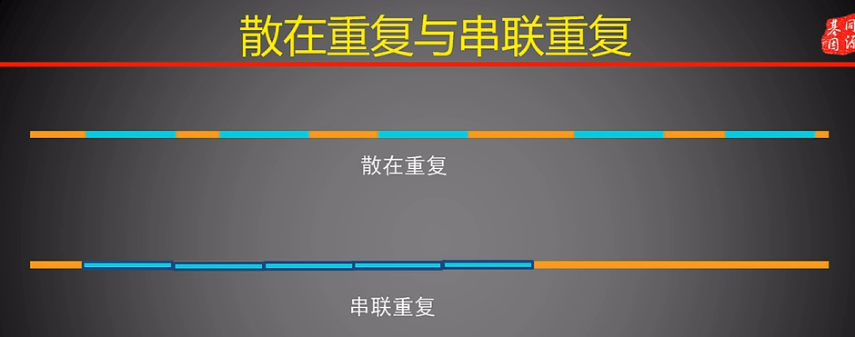 image-20250323122919493