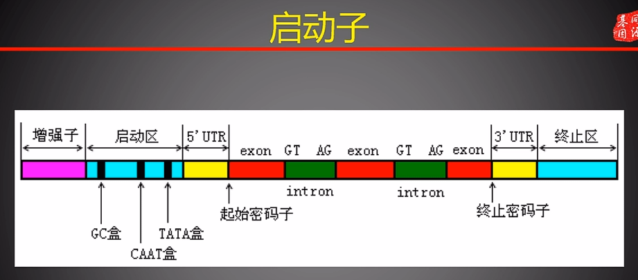 image-20250323122933558