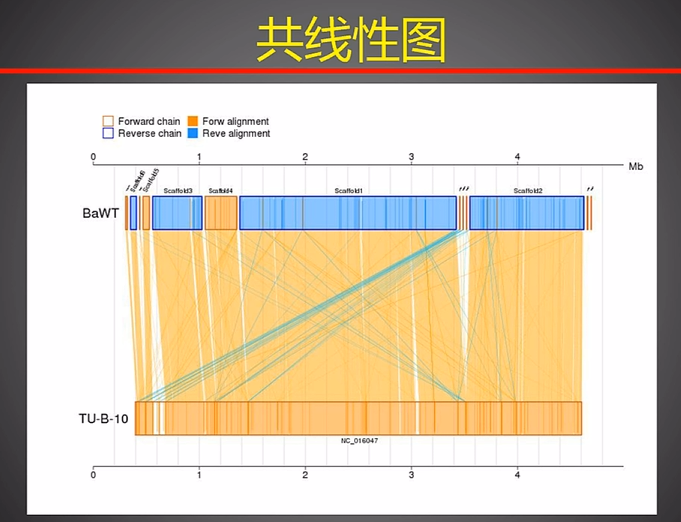 image-20250323122940066