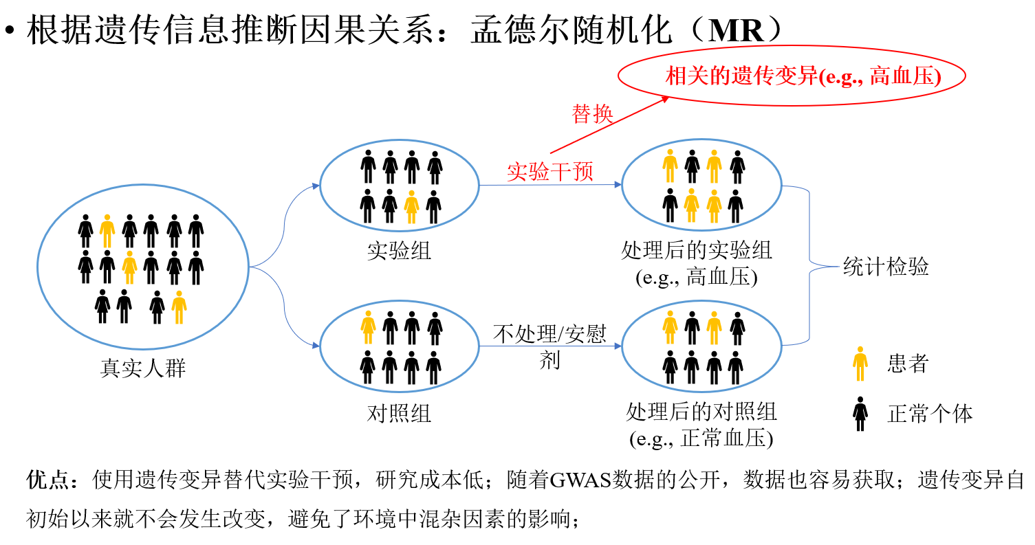孟德尔随机化原理